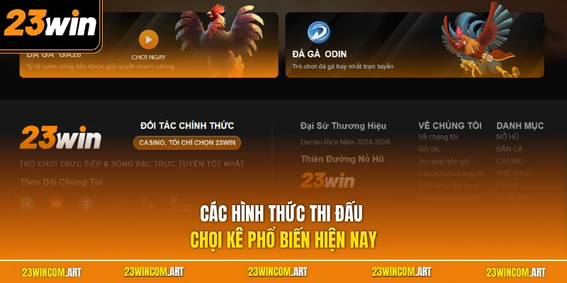 Đá gà 23WIN 2 Các hình thức thi đấu chọi kê phổ biến hiện nay