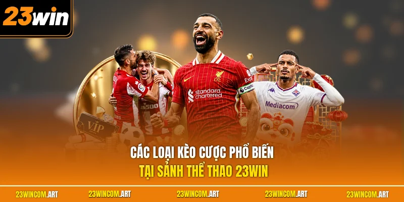 Các loại kèo cược phổ biến tại sảnh thể thao 23WIN