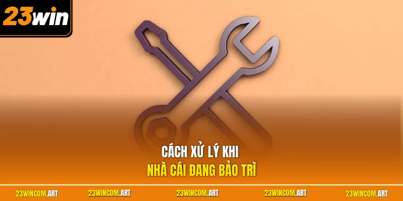 Cách xử lý khi nhà cái đang bảo trì