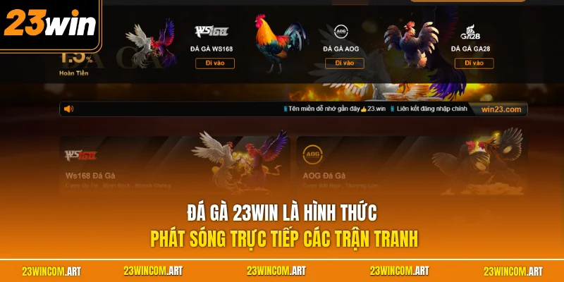 Đá gà 23WIN 1 Đá gà 23WIN là hình thức phát sóng trực tiếp các trận tranh